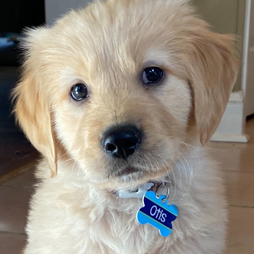 Personalized Pet Tag