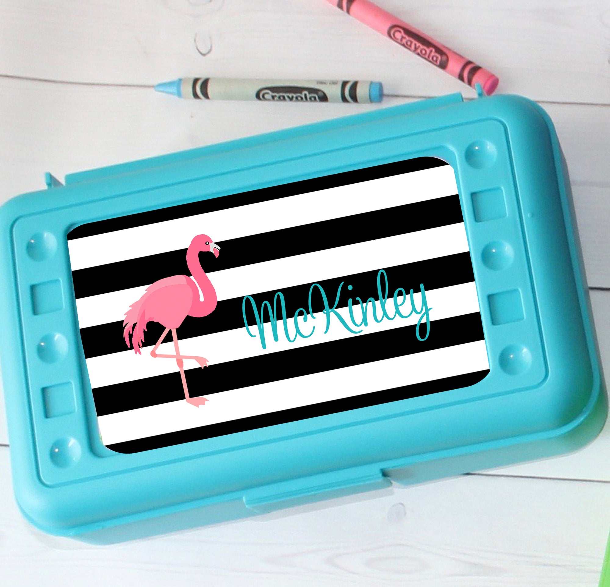 Personalized School Pencil Box - Girl Designs