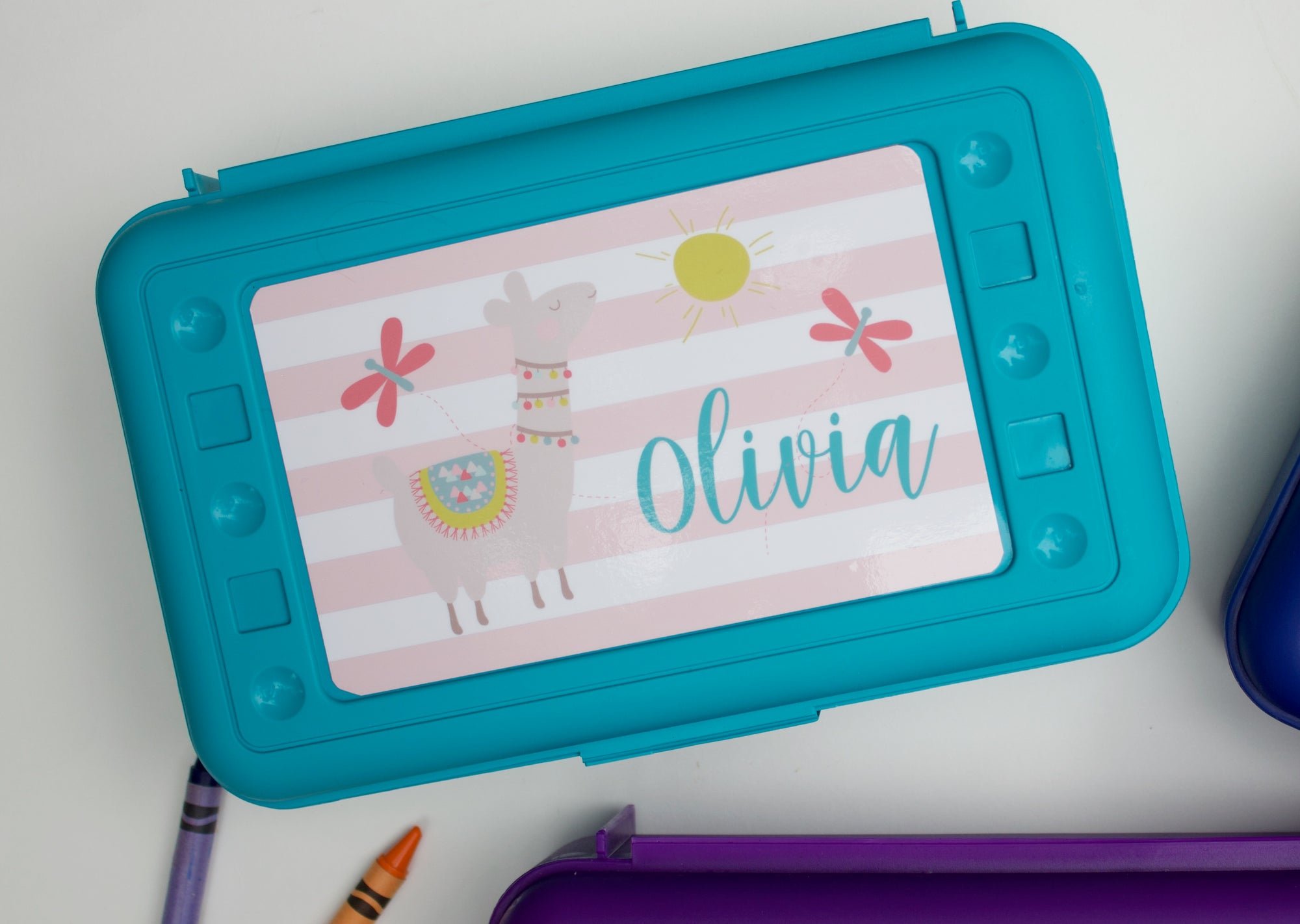 Personalized School Pencil Box - Girl Designs